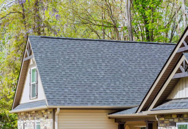 Trusted Lake Park, NC Roofing Service  Experts